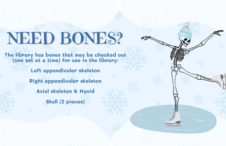 Need bones? The library has bones that may be checked out (one set at a time) for use in the library:  Left appendicular skeleton, Right appendicular skeleton, Axial skeleton & Hyoid, Skull (2 pieces).